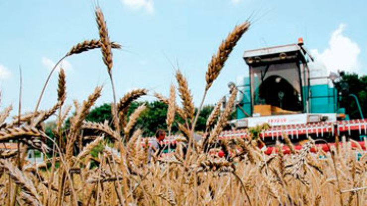 Украина хочет продавать зерно Саудовской Аравии