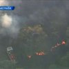 На западе Австралии бушуют лесные пожары