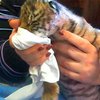 В Бердянском зоопарке родился тигренок