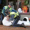 В США на параде арестовали снеговика Фрости