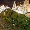 Дважды падавшую главную елку Эстонии попробуют установить еще раз