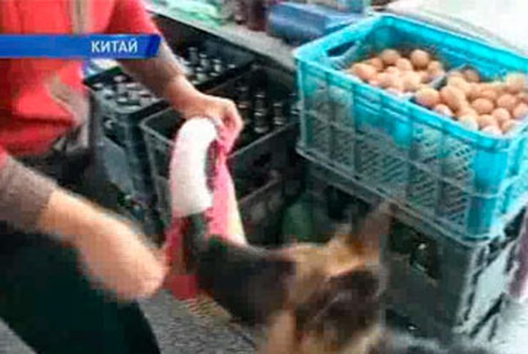 В Китае собака ходит в магазин за покупками