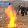 В Ужгороде сожгли наркотиков на миллион долларов