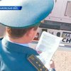 В Ватикан отправили 45 украинских голубых елей