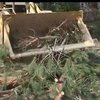 Жители Калифорнии приходят в себя после мощной бури
