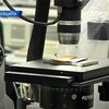 Ученые создали технологию изготовления золотой ткани