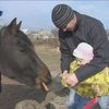 Запорожский пенсионер мечтает построить конный манеж для лечение детей