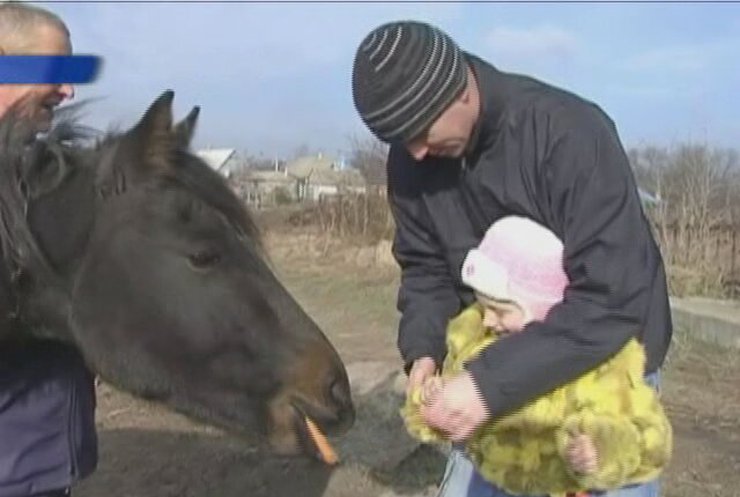 Запорожский пенсионер мечтает построить конный манеж для лечение детей