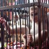 Пакистанская полиция поймала обезьяну-"нелегала"