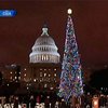 В США открыли главную ёлку страны