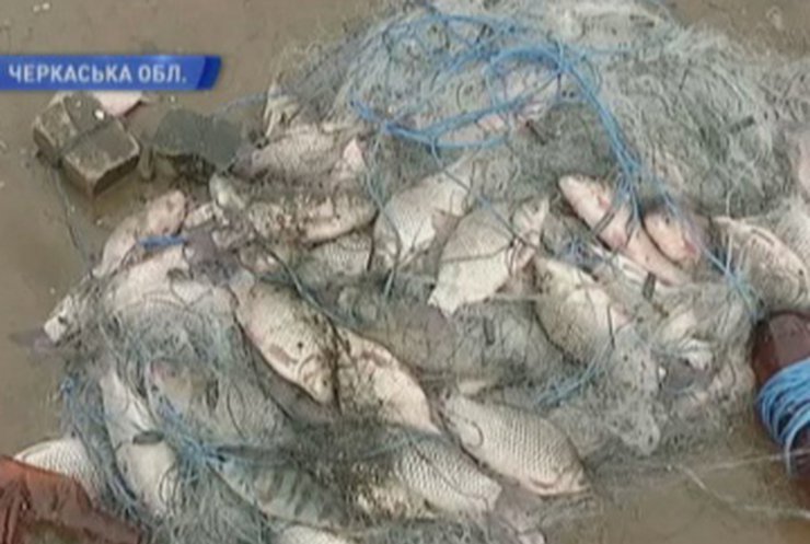 Власти увеличили штрафы за незаконный вылов рыбы ‎в 10 раз
