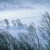 На Шотландию, Уэльс и север Англии обрушился шторм