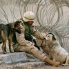 Американских солдат не будут наказывать за секс с животными