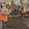 В Донецке на месте протеста чернобыльцев высадили елки‎