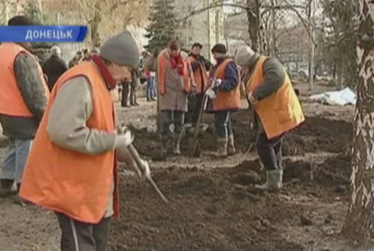В Донецке на месте протеста чернобыльцев высадили елки‎