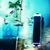 В США пес поймал голого угонщика лимузина