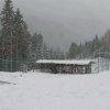 В Закарпатье открыли реабилитационный центр для медведей