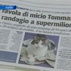 Римский кот получил в наследство 15 миллионов долларов
