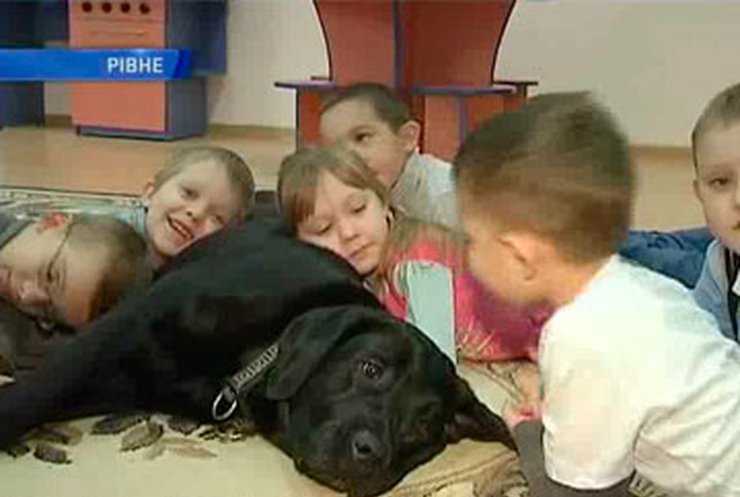 Ровненского пса приобщили к детской терапии