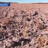 Мексика переживает сильнейшую засуху за последние 70 лет