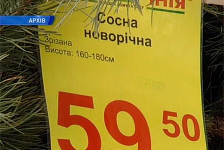 В Киеве будут работать 80 елочных базаров