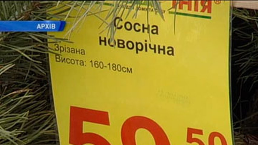 В Киеве заработают более 80 ёлочных базаров