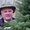 Британская полиция отыскала похищеные елки по следу из иголок