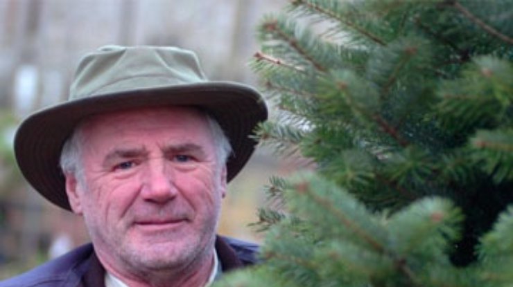 Британская полиция отыскала похищеные елки по следу из иголок