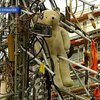 В Германии выбрали самую уродливую новогоднюю елку