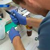 В США создали вакцину, избавляющую от героиновой зависимости