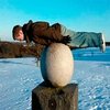 В США полиция оштрафовала любителей планкинга