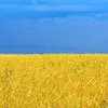 The Economist: В рейтинге демократии Украина опустилась с 67 на 79 место