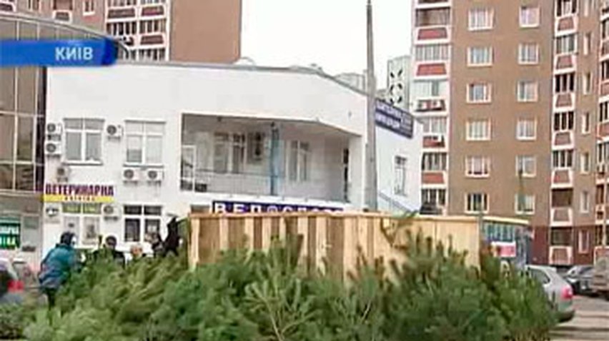 Новогодние елки продают с электронными паспортами