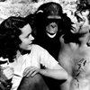 Обезьяна Тарзана умерла в возрасте 80 лет