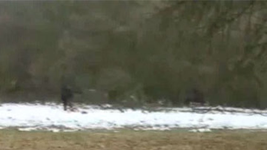 В Ингушетии якобы поймали снежного человека