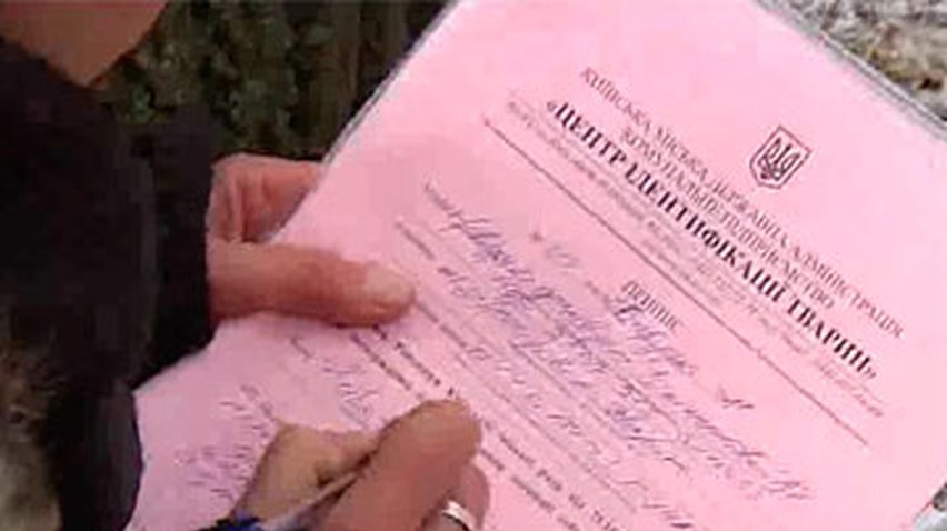 В Киеве ужесточат условия для выгула собак на улицах