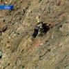В Калифорнии спасатели сняли со скалы собаку с хозяином