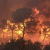 В Чили продолжают бушевать лесные пожары