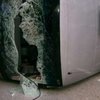В США перевернулся автобус с заключенными