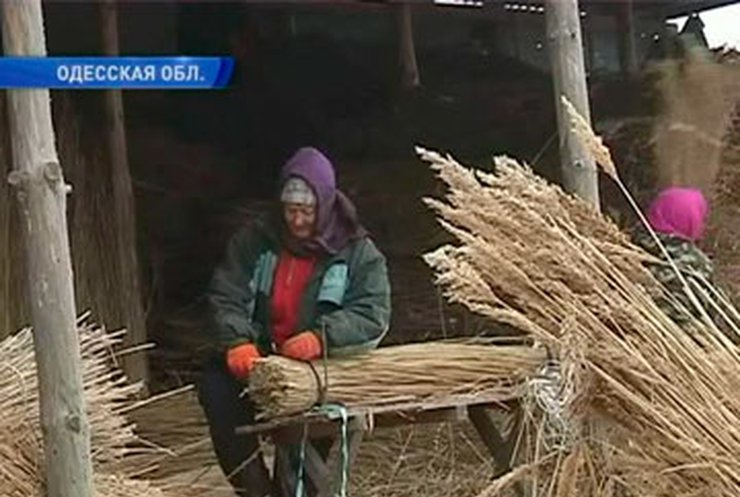 В Одесской области делают бизнес на тростнике