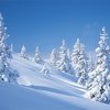 Горнолыжные курорты в Австрии отрезаны из-за снегопада от внешнего мира