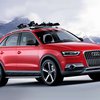 Audi представила "зимний" кроссовер Q3  Vail