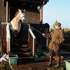 Шотландка поселила у себя дома лошадь