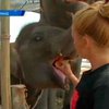 США сообщили согражданам об угрозе теракта в Таиланде