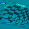 В Эстонии увлеклись подводными шашками