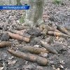 В Хмельницкой области обнаружили 800 артилерийских снарядов