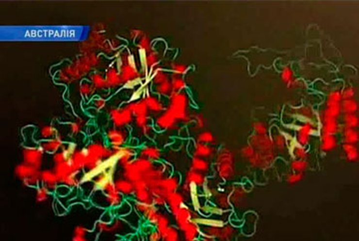 Ученые Мельбурна расшифровали строение белков вируса гепатита С