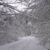 В Тернопольской области замерз пенсионер