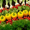Азаров решил урегулировать органическое земледелие
