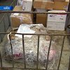 Укрпочту засыпают жалобами о не доставленных посылках